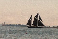One of Maine Windjammer fleet, this gaff-rigged schooner tacks past us on our way down Eggemoggin Reach.