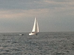 Favorable current and wind made for a pleasant morning sail part way up Delaware Bay.